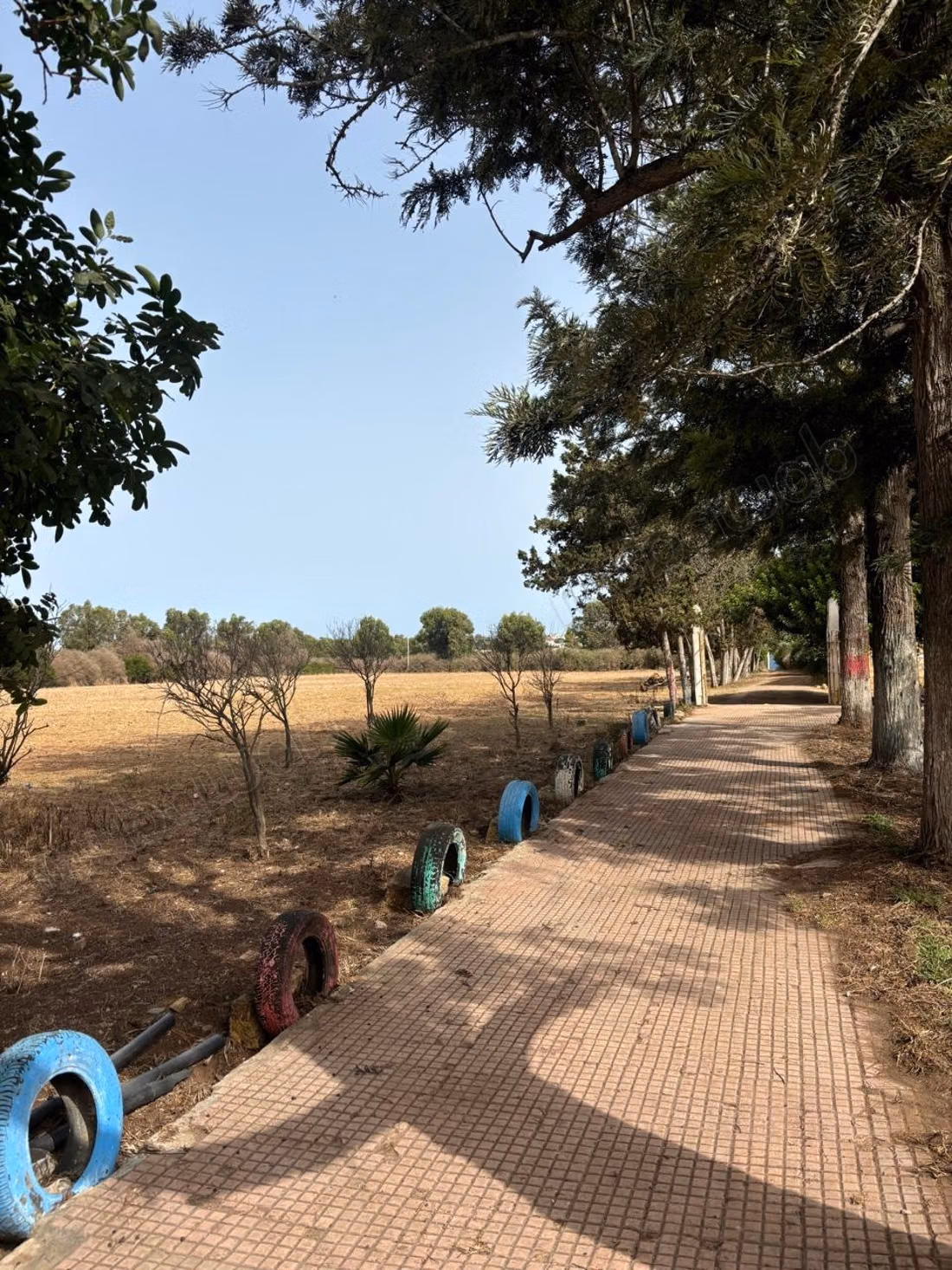 Ferme titré, à proximité d'Ola Blanca 3 sur la route d'azemour