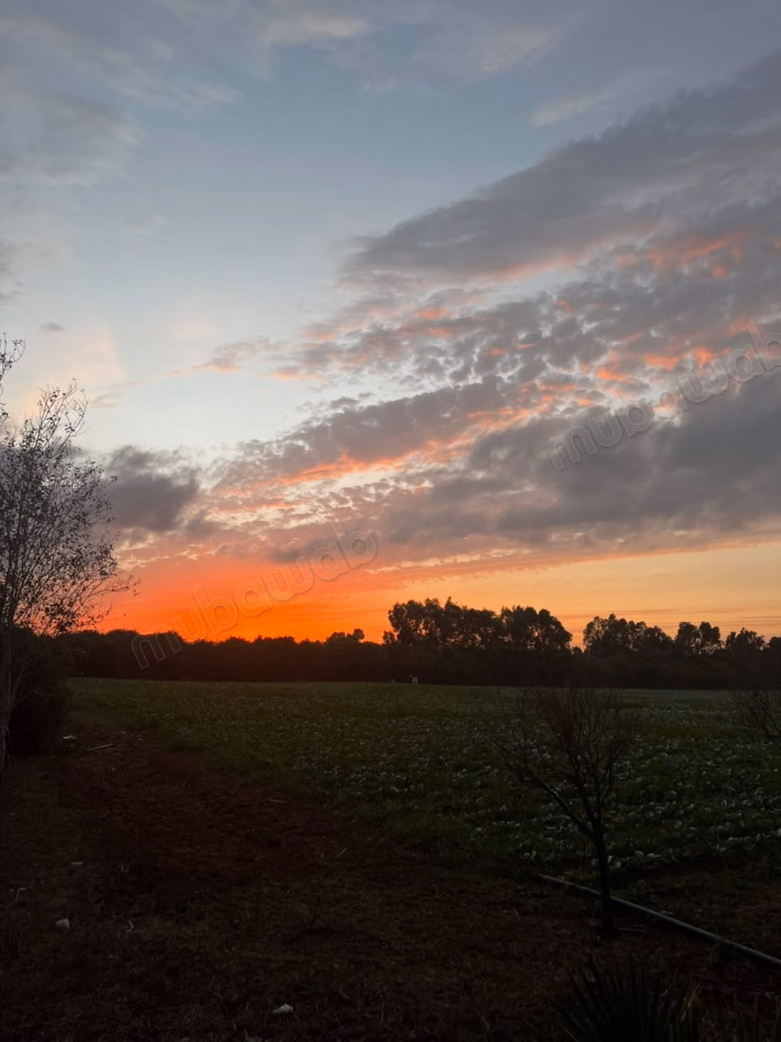 Ferme titré, à proximité d'Ola Blanca 3 sur la route d'azemour