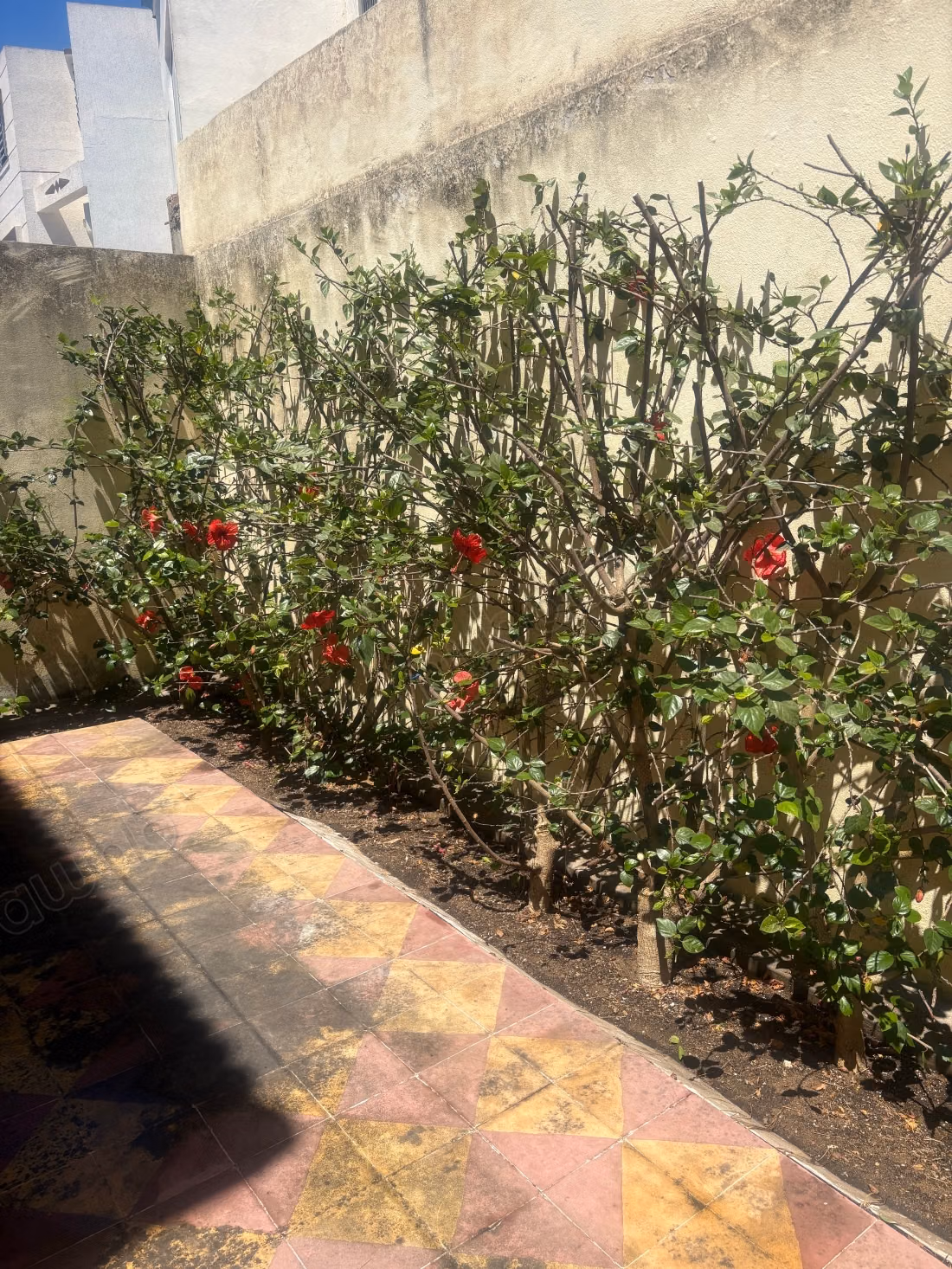 High-end house for sale in Moulay Bousselham. Area of 223 m². Terrace and garden