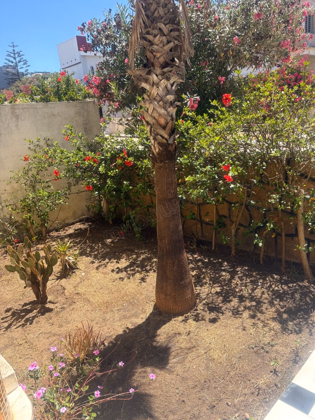 High-end house for sale in Moulay Bousselham. Area of 223 m². Terrace and garden