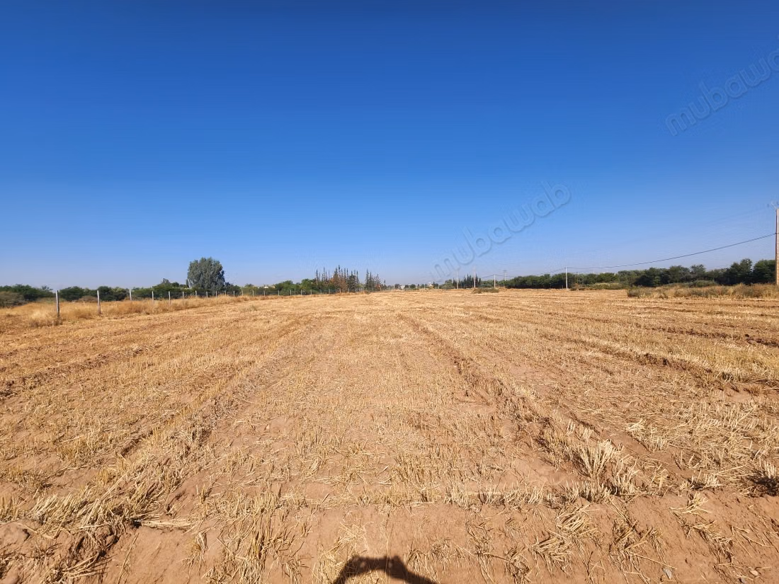Beau terrain à la vente à Tamazouzte.
Surface de 5000 m²