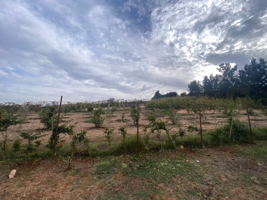 Terrain à la vente à sale al jadida. Surface de 9136 m²