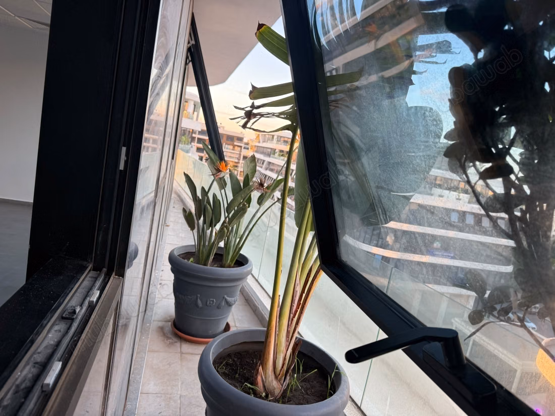 Plateau de Bureau Neuf à Louer – Les Orchidées VI