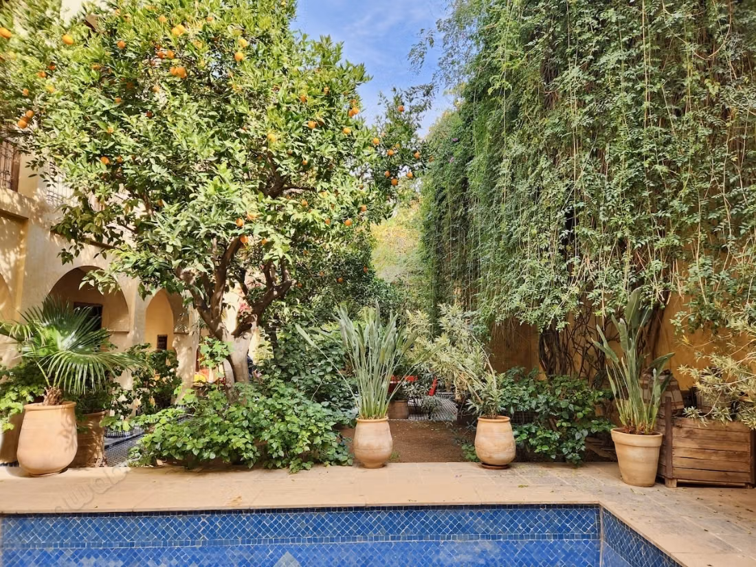 Exceptional riad with pool and gardens