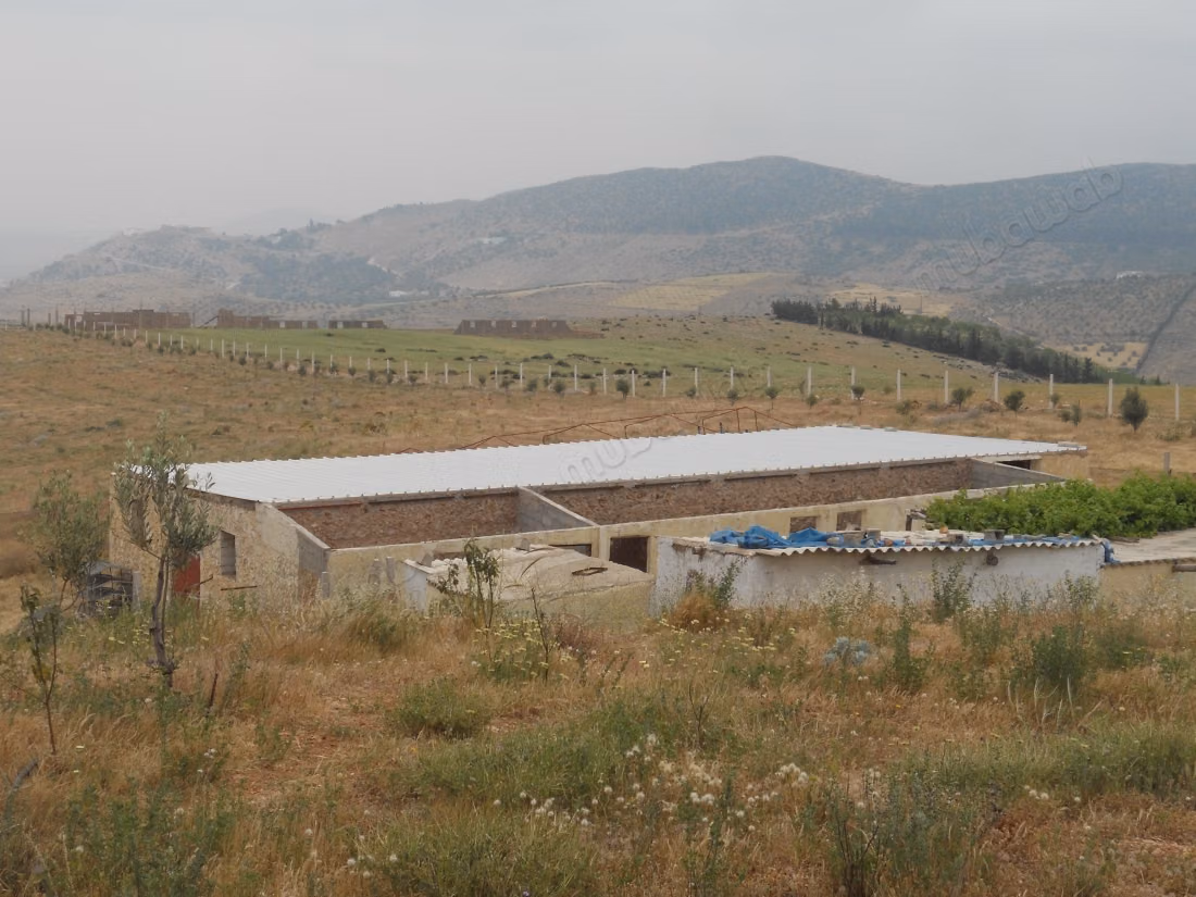 A vendre: superbe villa avec piscin /Agricole