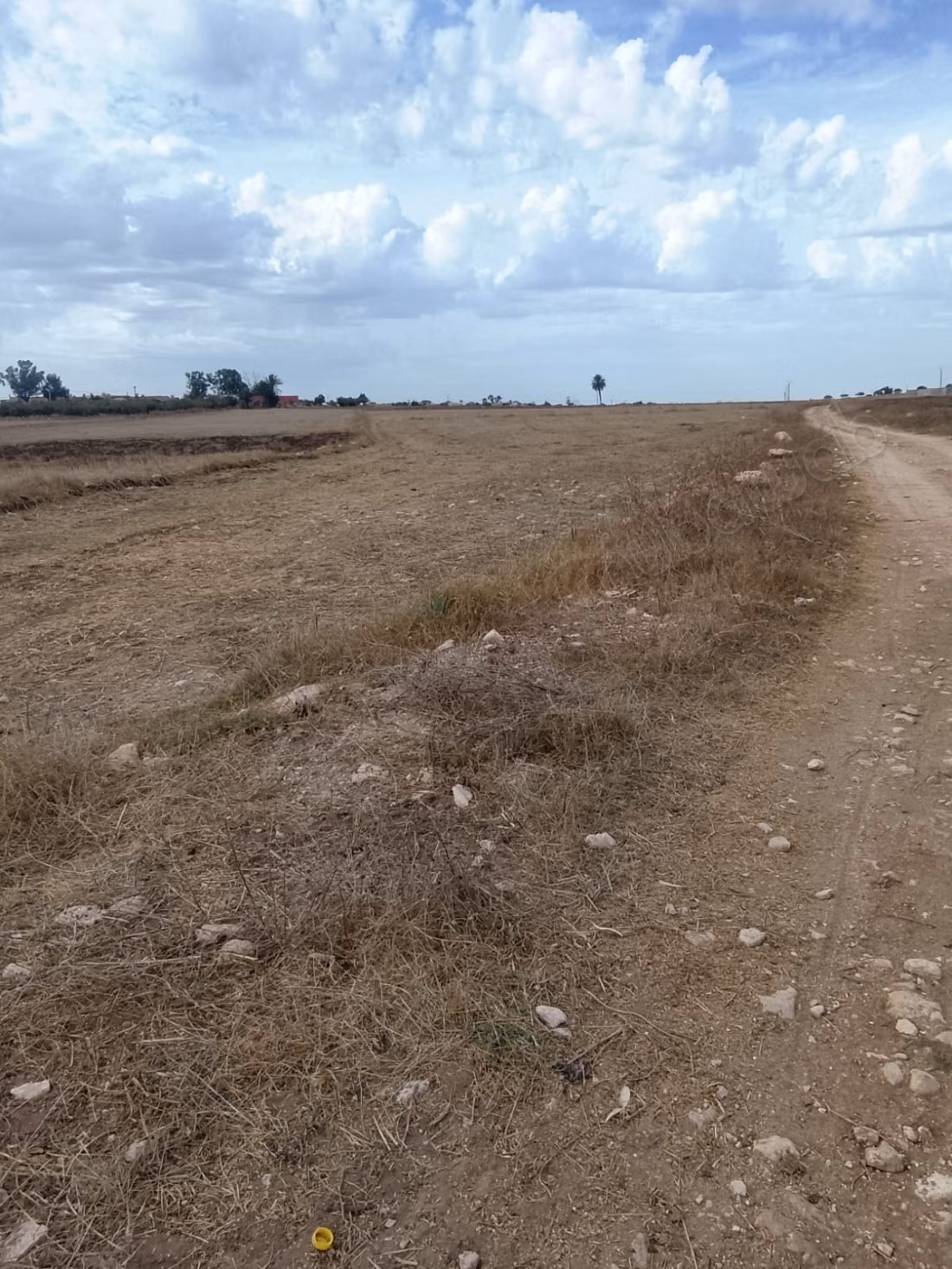 Agréable terrain à vendre à Oulad Frej.
Superficie 4419 m²
