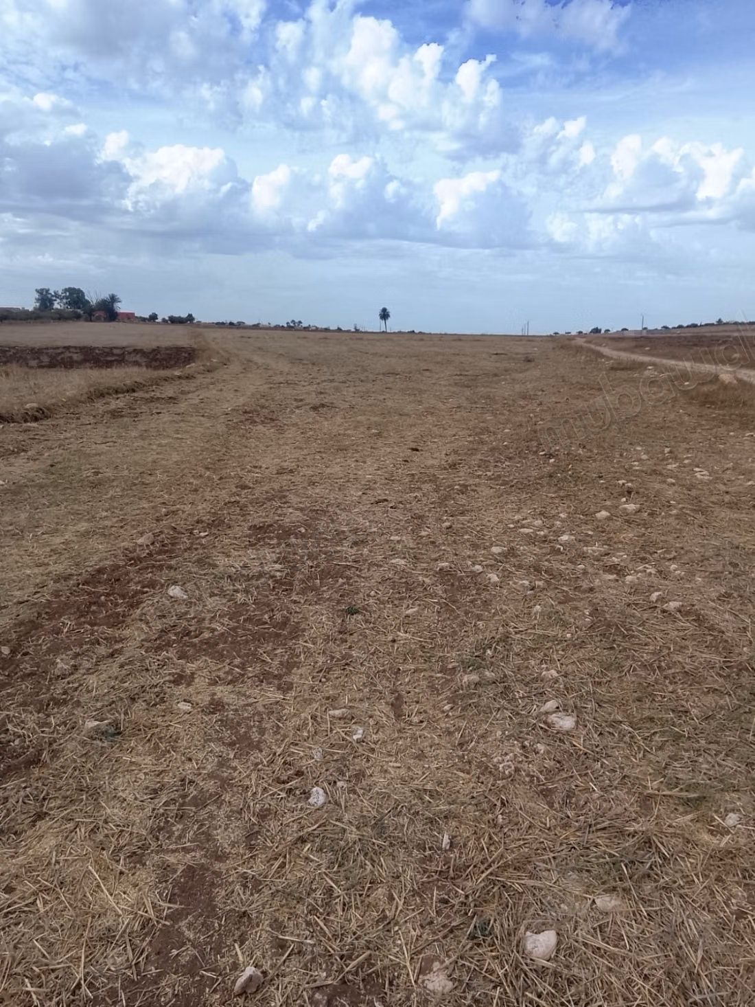 Agréable terrain à vendre à Oulad Frej.
Superficie 4419 m²