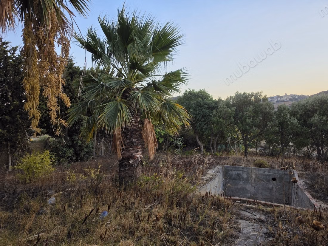Villa te koop in Sidi Kankouche Totale oppervlakte 1500 m². Tuin en terras