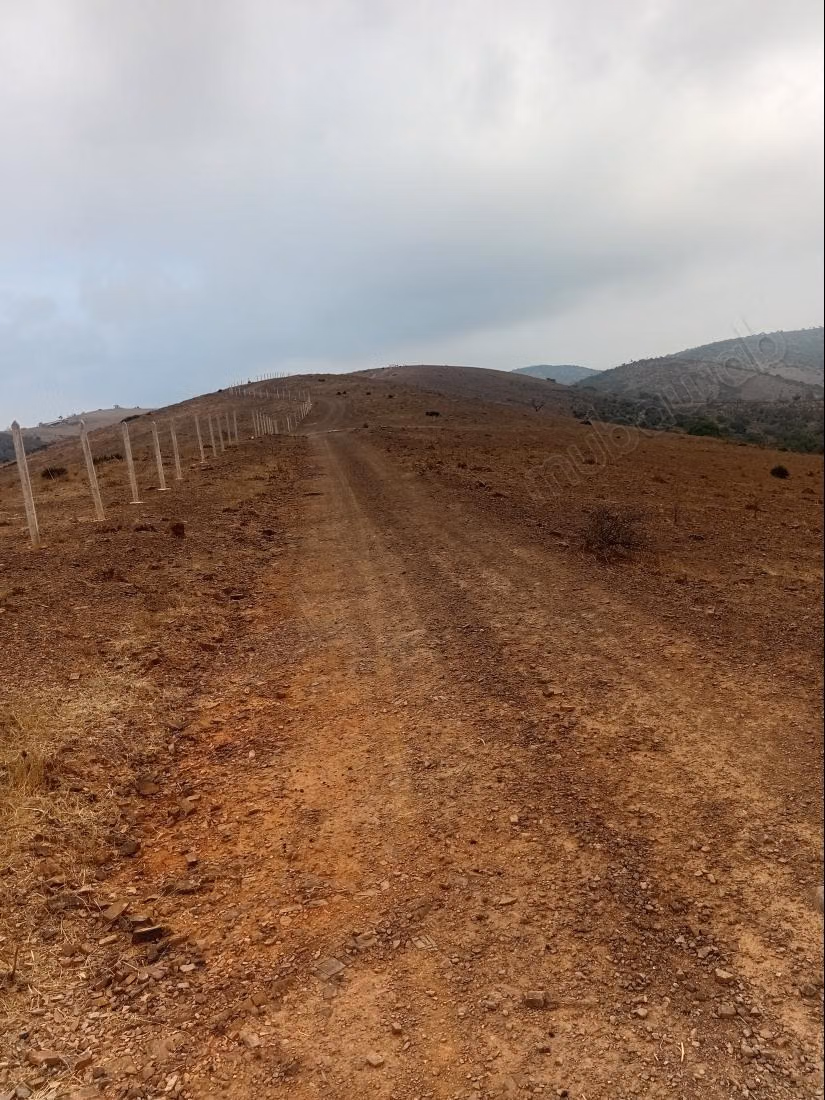 Terrain à vendre à Al-Faleen. Superficie totale de 10 000 m²
