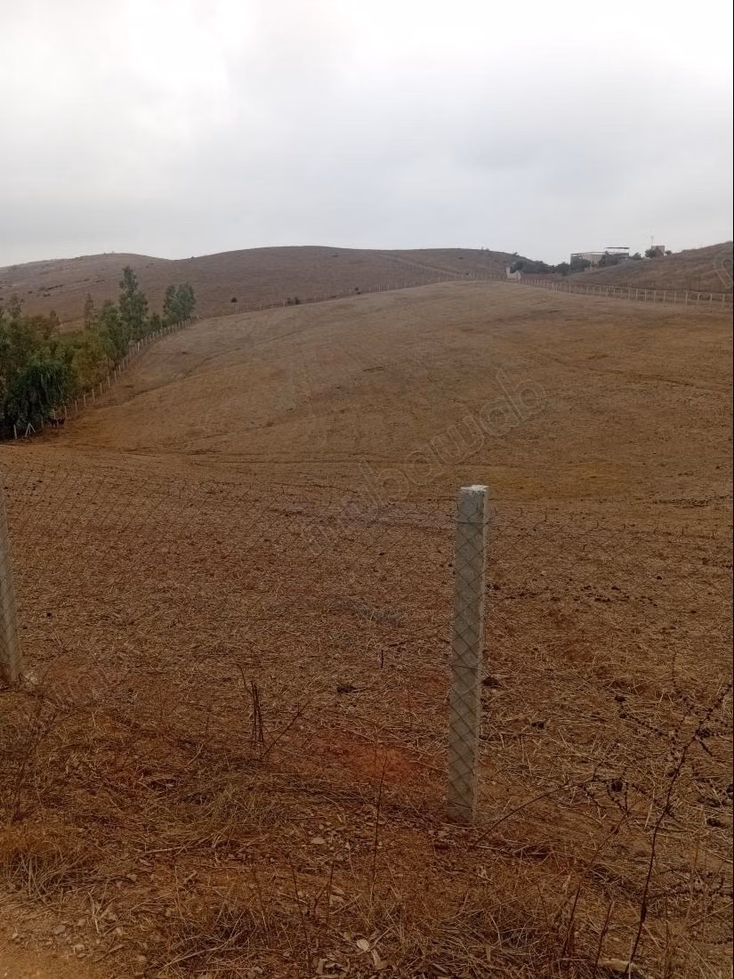 Terrain à vendre à Al-Faleen. Superficie totale de 10 000 m²
