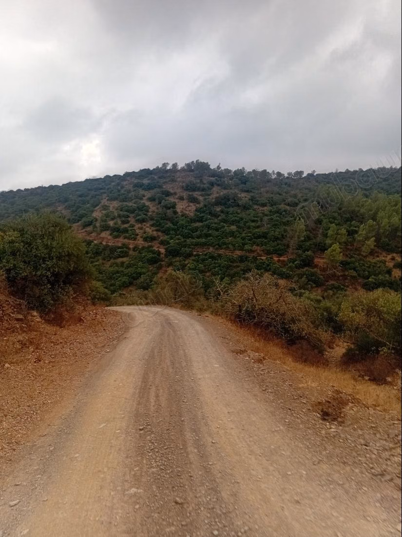 Terrain à vendre à Al-Faleen. Superficie totale de 10 000 m²