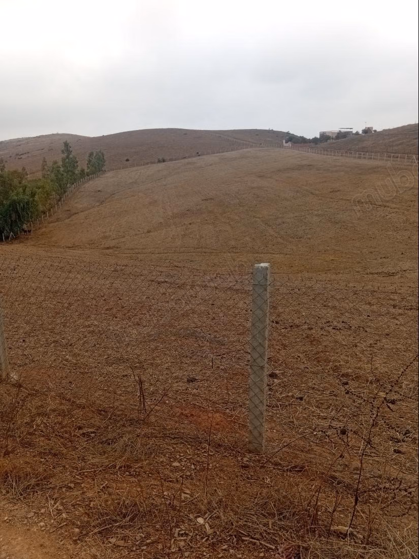 Terrain à vendre à Al-Faleen. Superficie totale de 10 000 m²