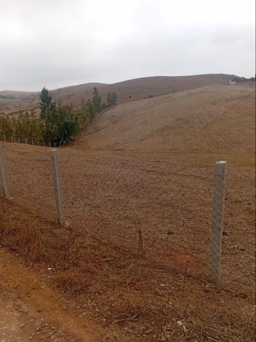 Terrain à vendre à Al-Faleen. Superficie totale de 10 000 m²