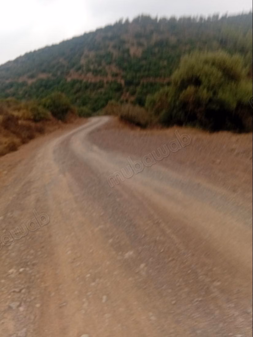 Terrain à vendre à Al-Faleen. Superficie totale de 10 000 m²