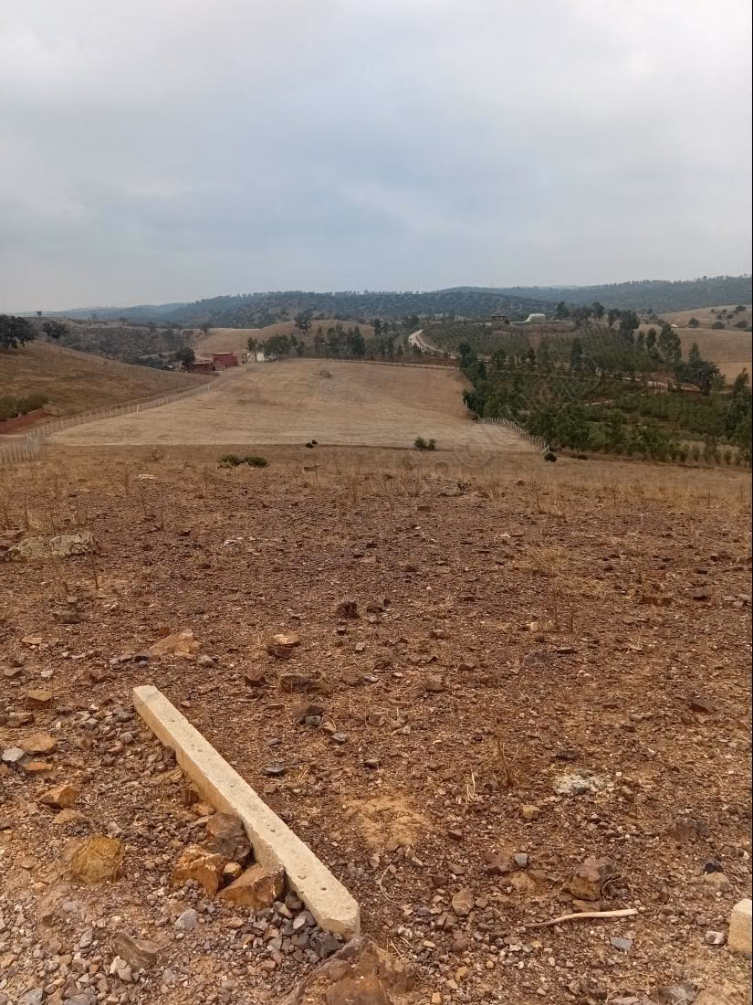 Terrain à vendre à Al-Faleen. Superficie totale de 10 000 m²