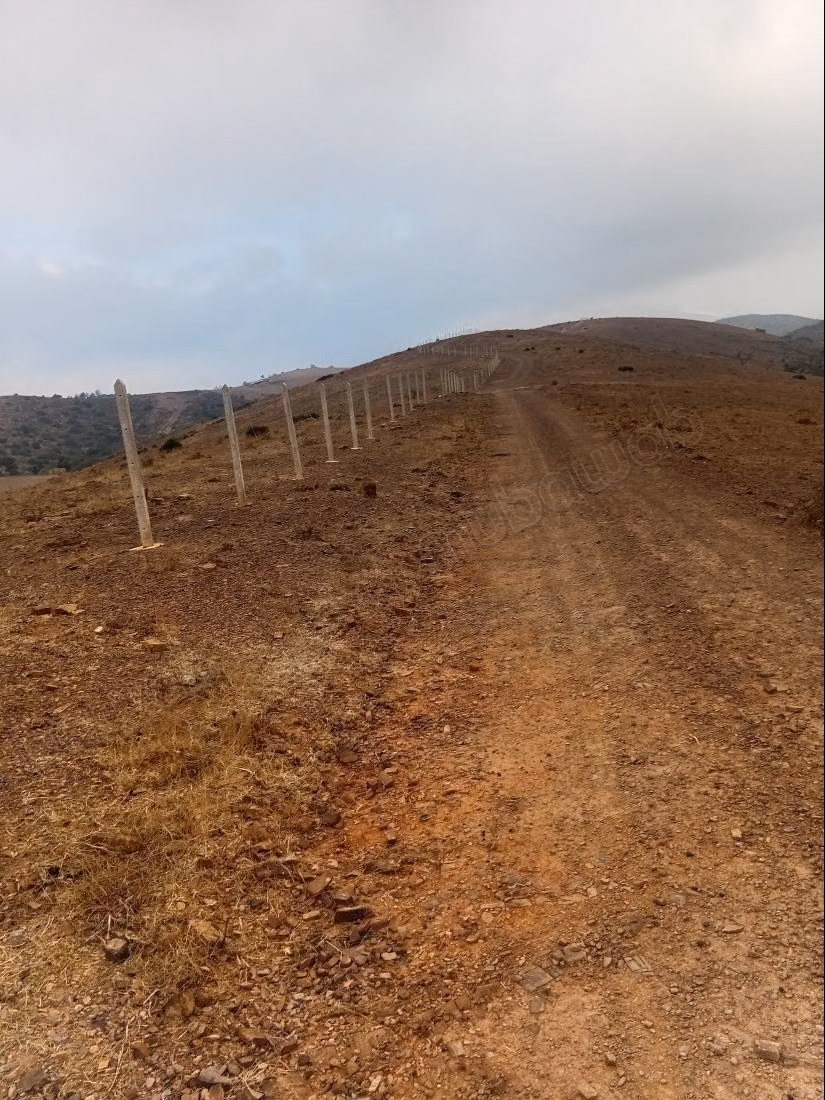 Terrain à vendre à Al-Faleen. Superficie totale de 10 000 m²