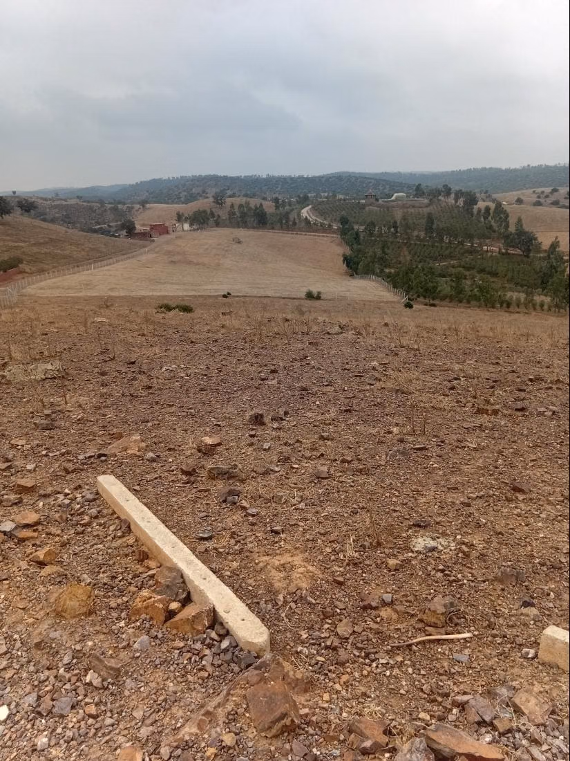 Terrain à vendre à Al-Faleen. Superficie totale de 10 000 m²