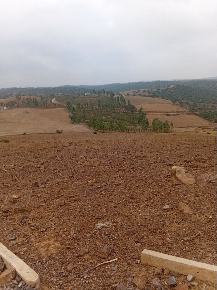 Terrain à vendre à Al-Faleen. Superficie totale de 10 000 m²