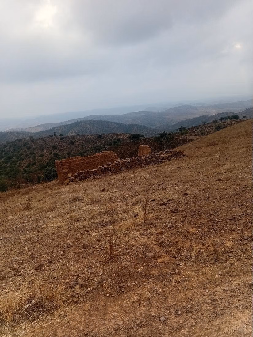 Terrain à vendre à Al-Faleen. Superficie totale de 10 000 m²