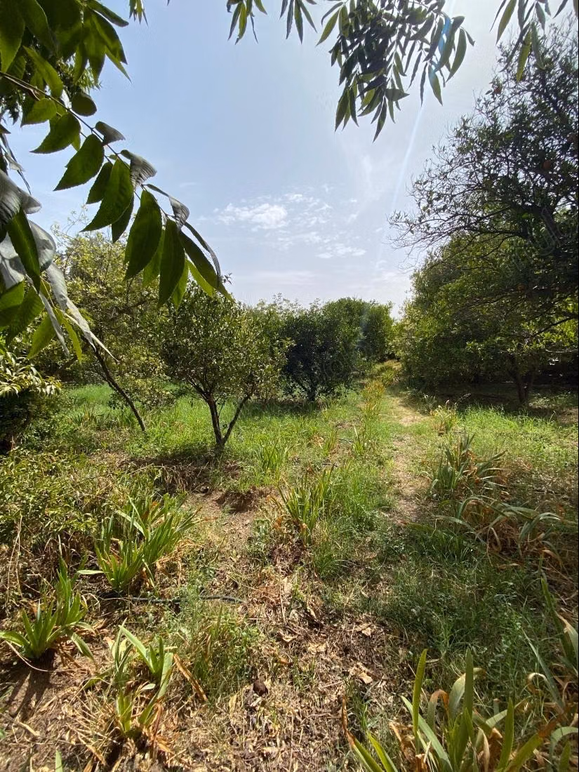 Ferme à vendre à Lalla Takarkoust. Superficie 58450 m². Sécurisé 24/24