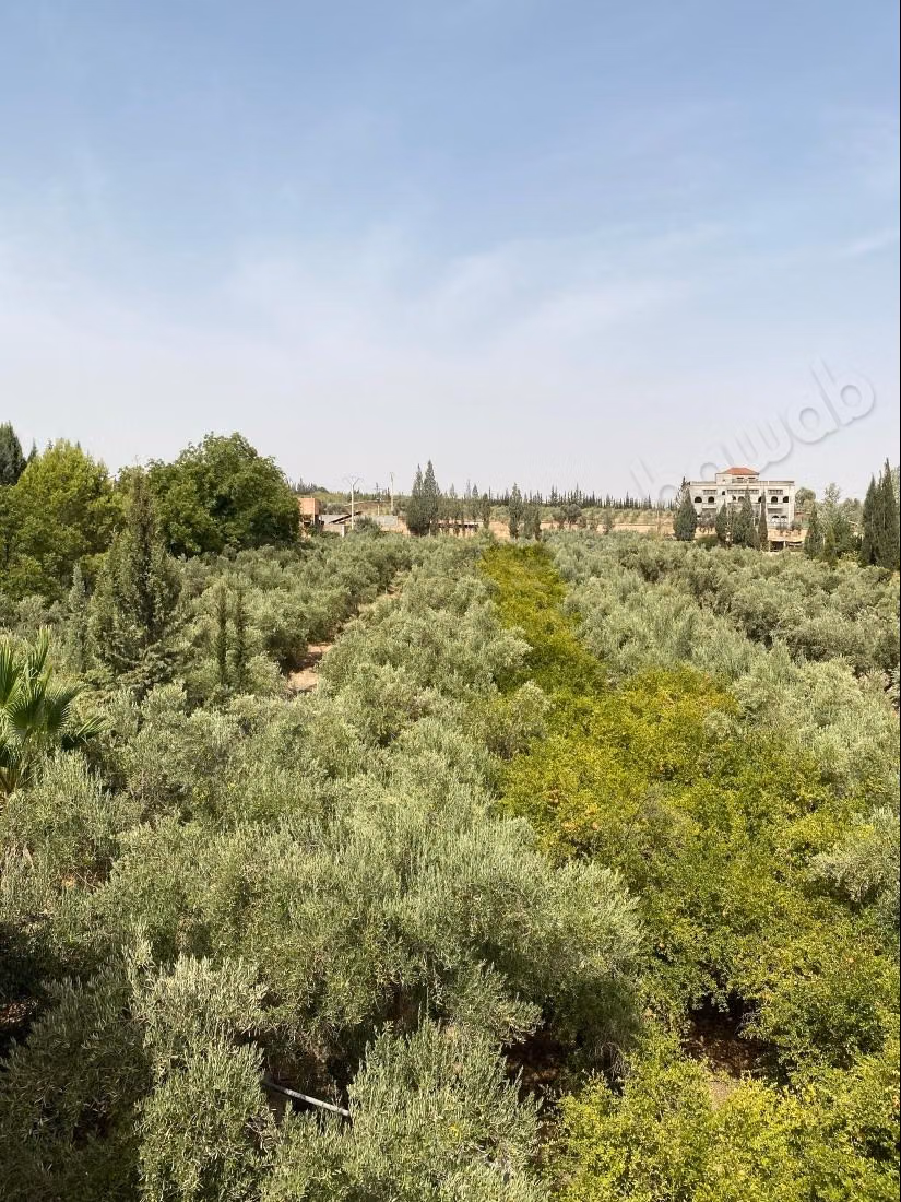 Ferme à vendre à Lalla Takarkoust. Superficie 58450 m². Sécurisé 24/24