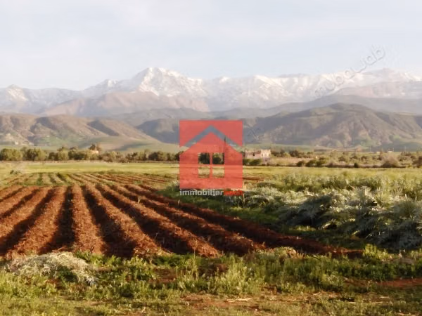 À vendre–terrain, route de l’ourika / amizmiz