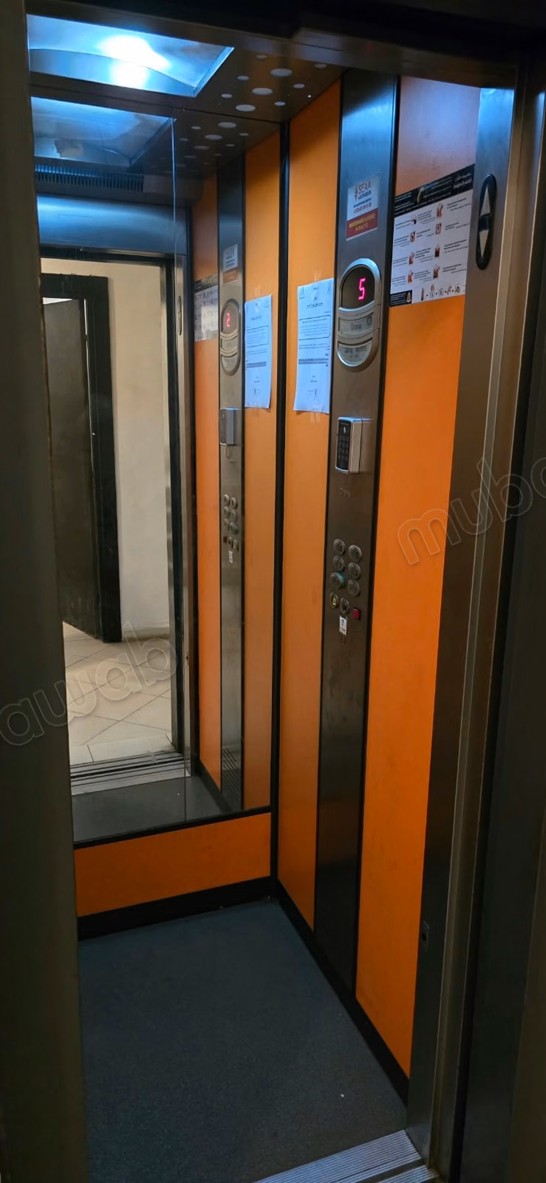 Appartement T3 à Louer vide