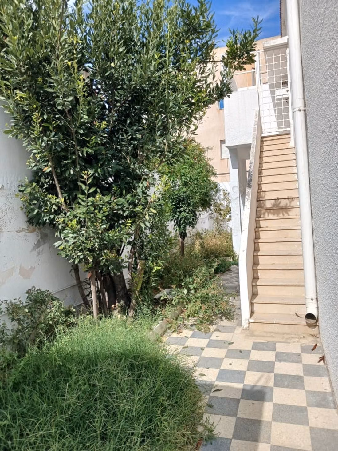 Maison de luxe à louer à Borj Louzir. 
Surface de 552 m²