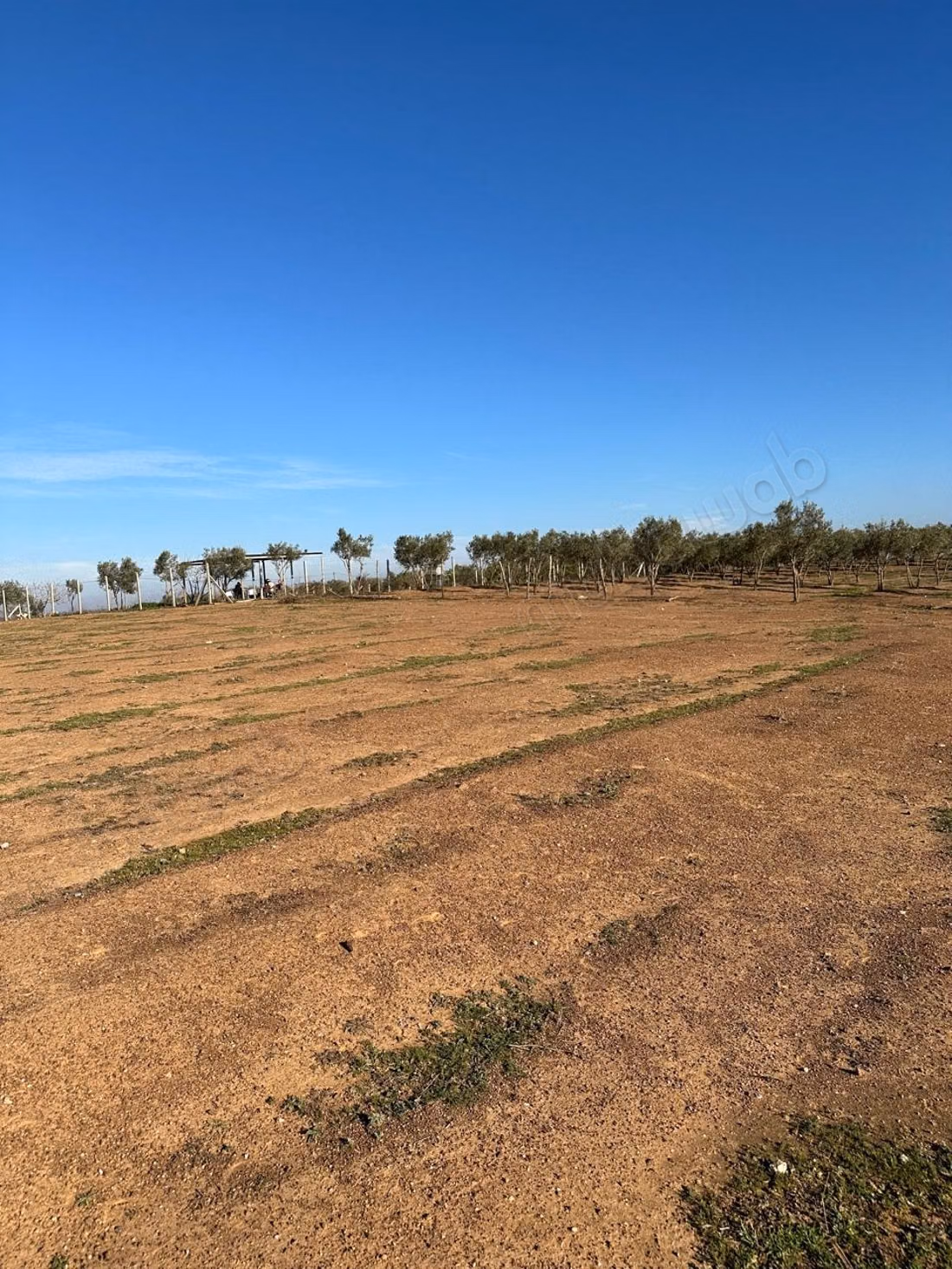 Ferme titrée de 7,09 hectares à vendre – Sidi Yahya Zaer