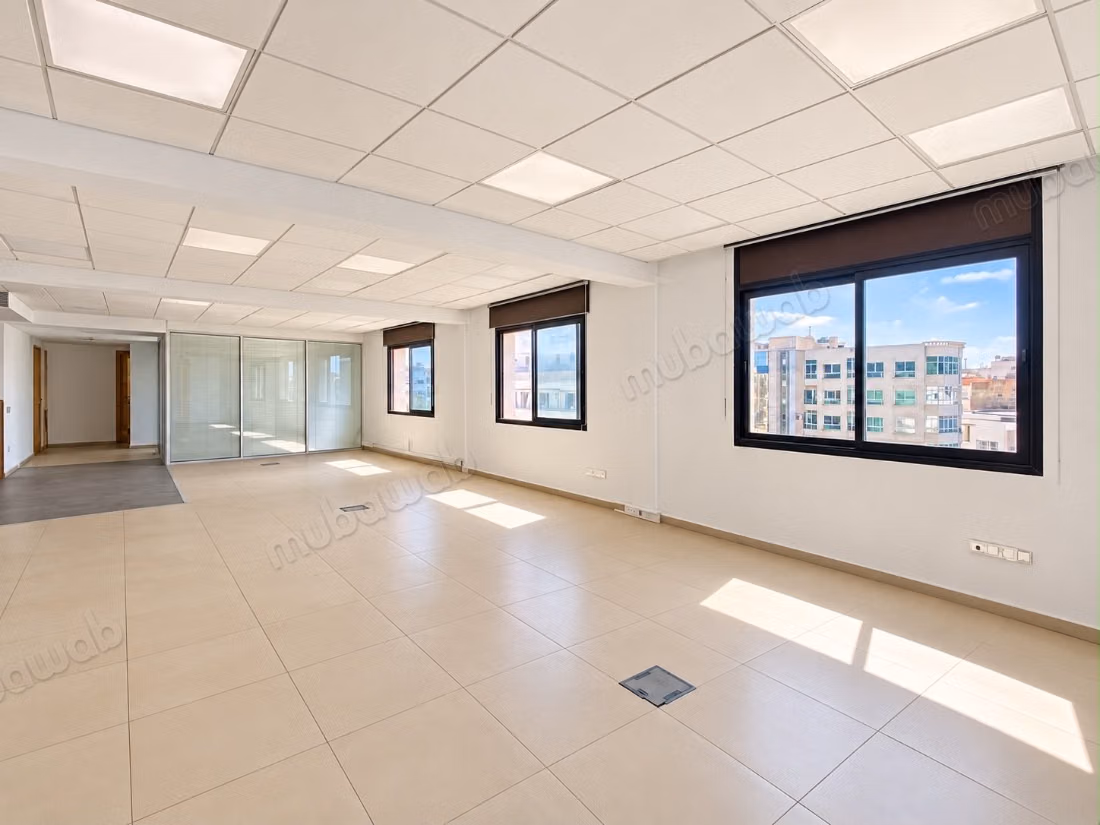 Plateau de bureau exclusif 365m 
racine