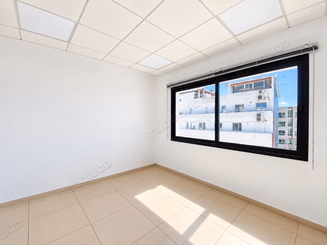 Plateau de bureau exclusif 365m 
racine