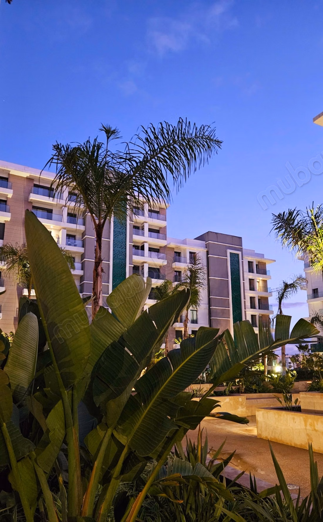 Location appartement moderne