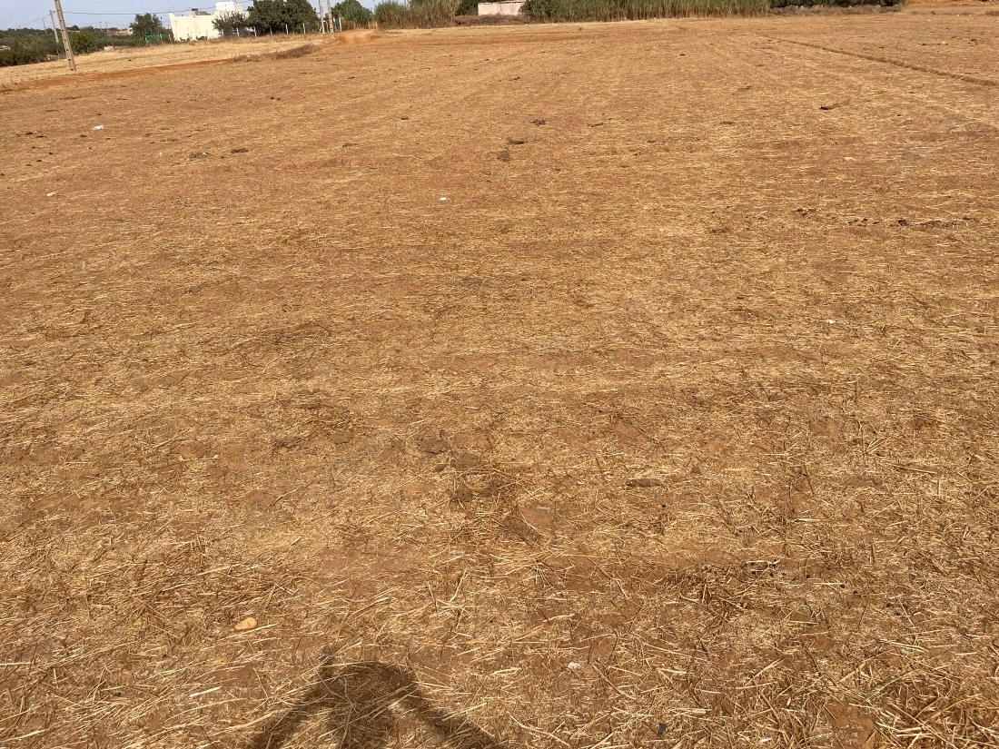 Terrain à vendre dans le Lot Tadart. Superficie totale de 7000 m²