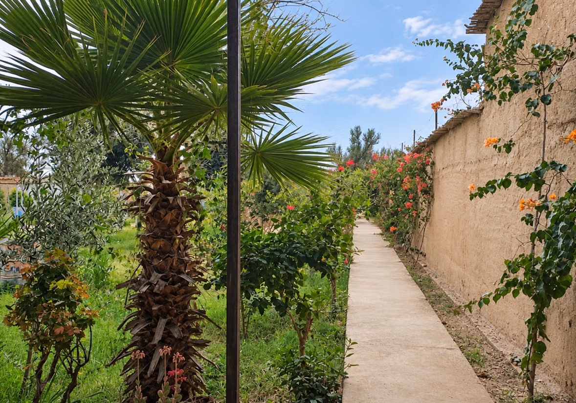 À vendre Riad avec beau jardin