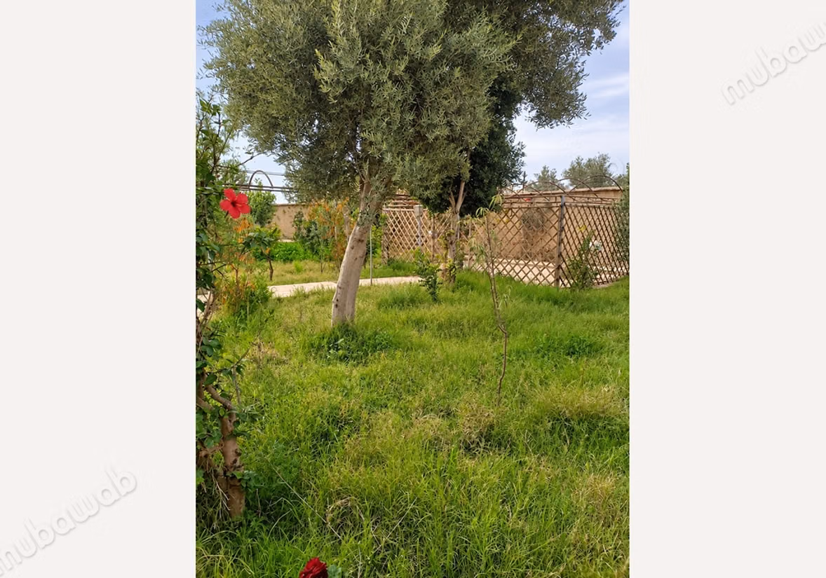À vendre Riad avec beau jardin