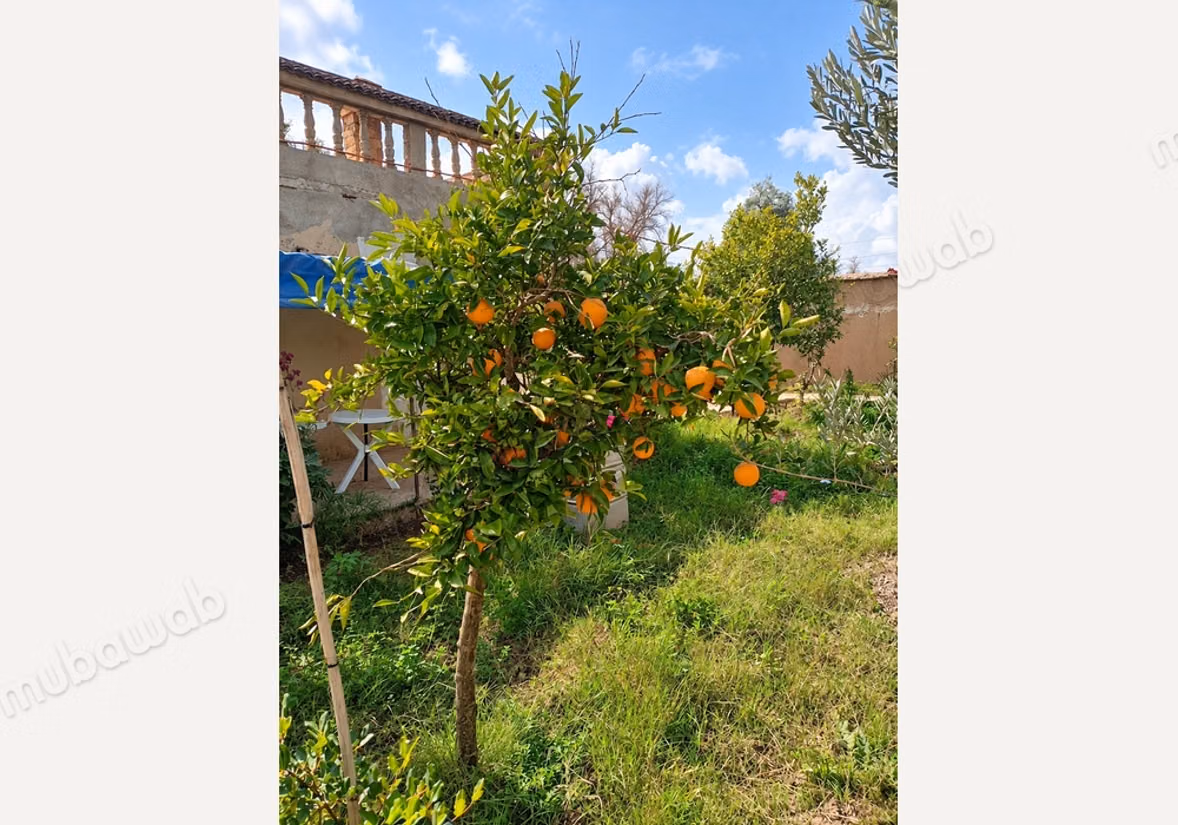 À vendre Riad avec beau jardin