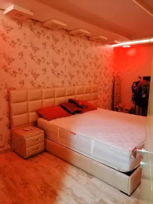 Rental or Roommate