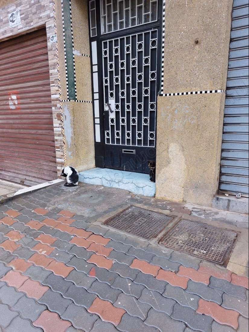 Appartement en vente à Al Hassania. 
Superficie 88 m²