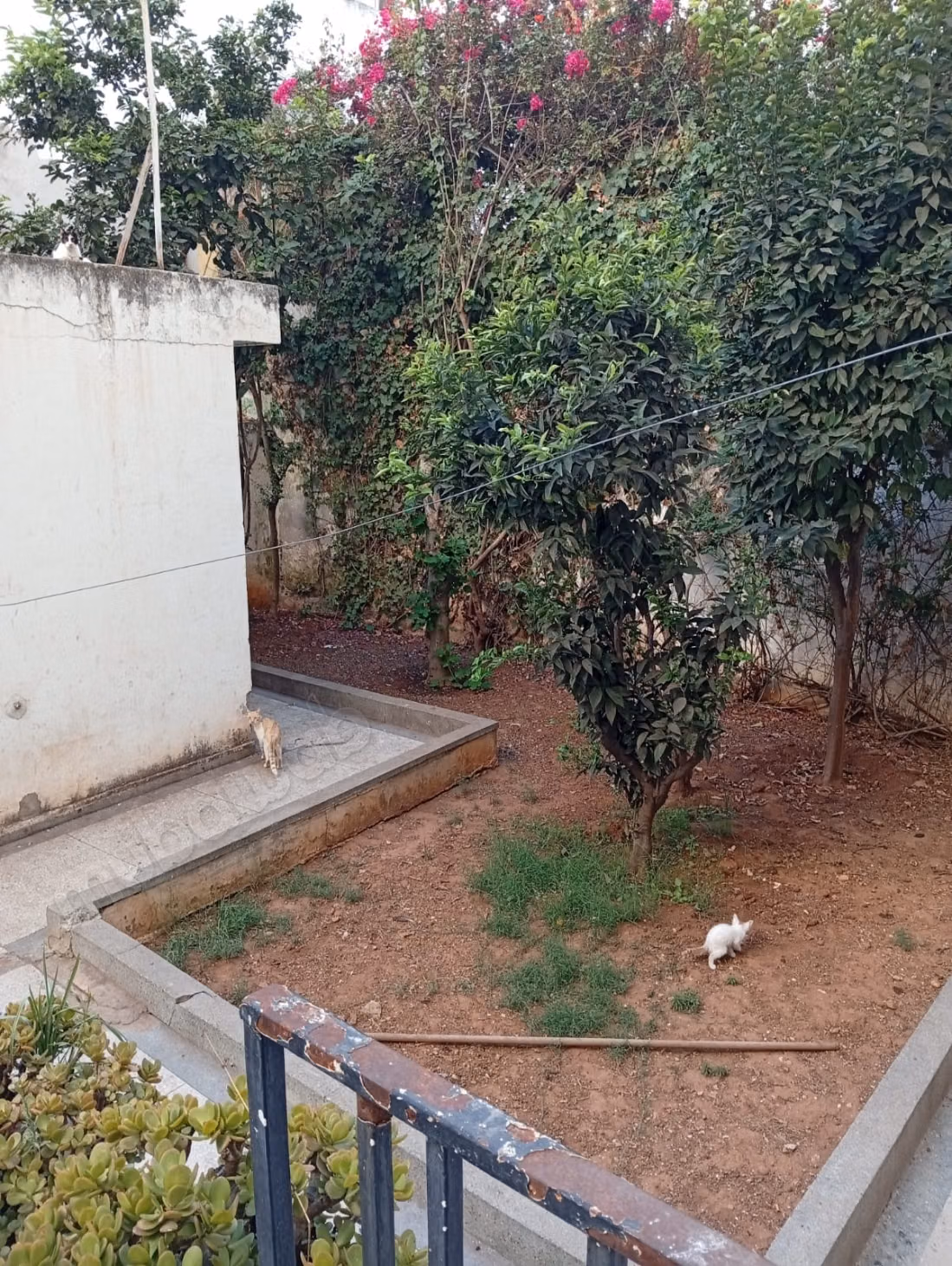 For sale apartment 309m² Garden 195m² Racine