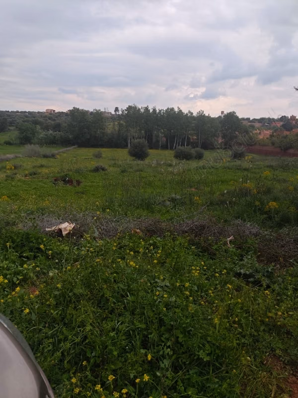Exceptional opportunity in Marrakech. 1,700 m²