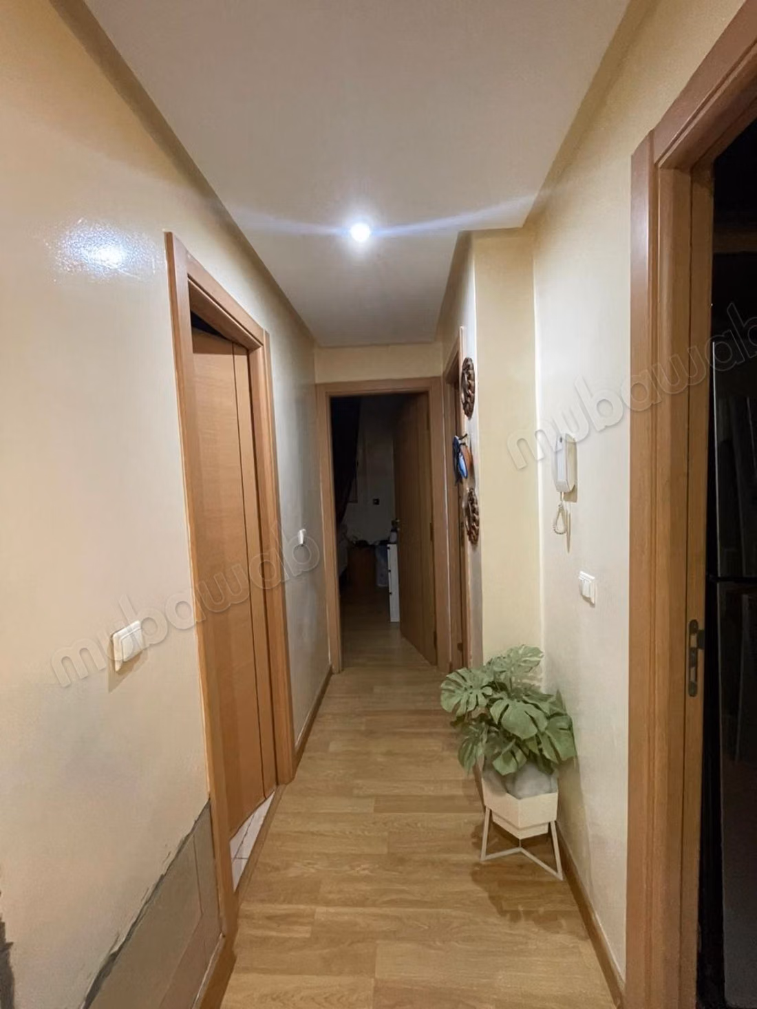 Appartement en location à farah salam