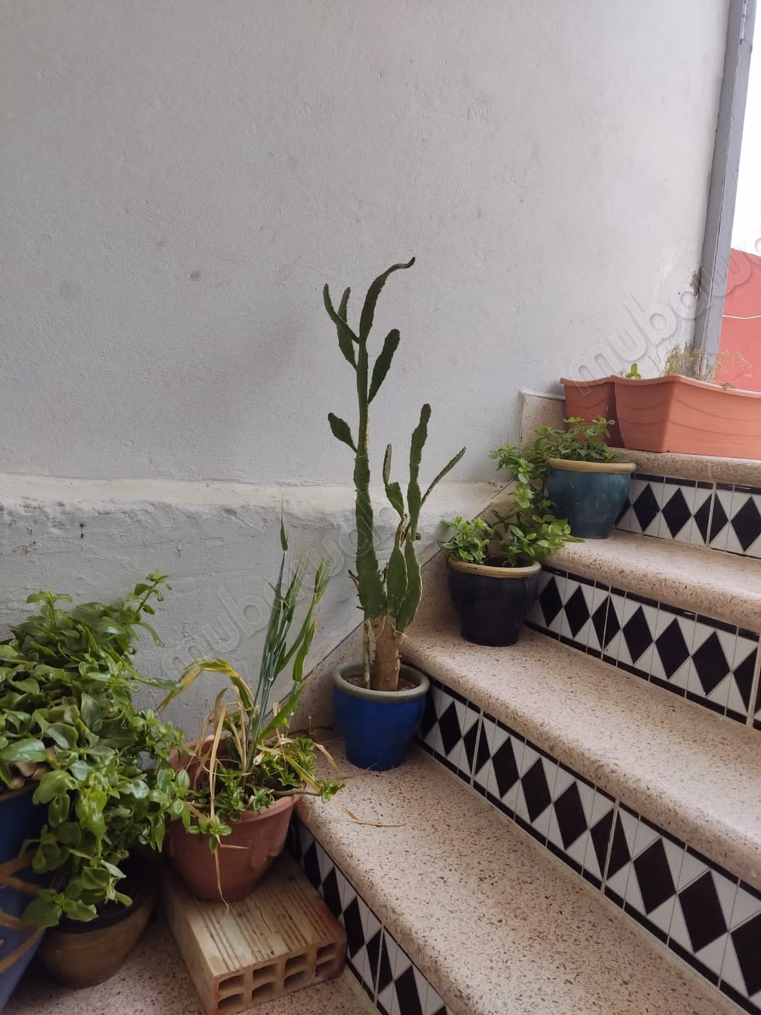 Bel appartement à vendre à Sidi Kacem. Superficie totale 105 m²