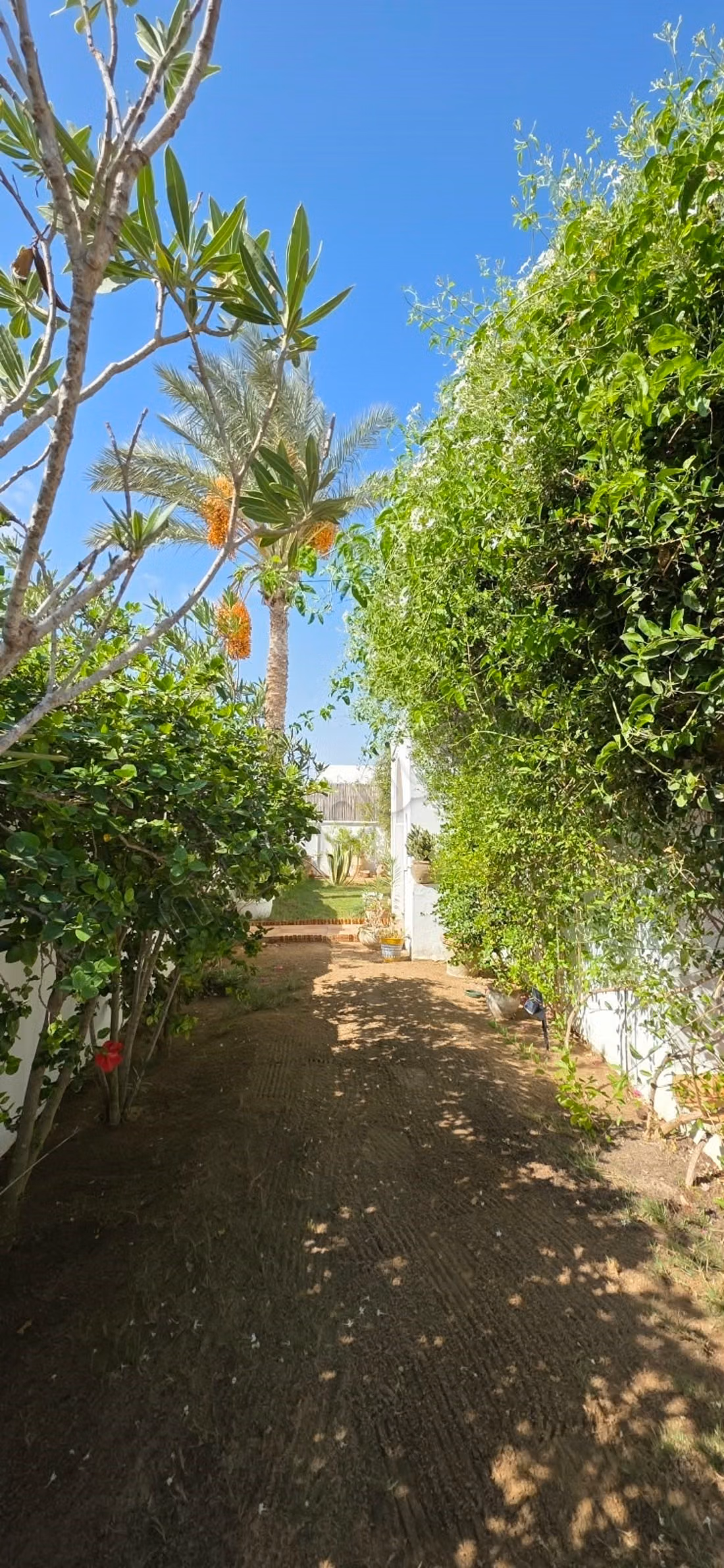 Villa tipica in vendita a Djerba