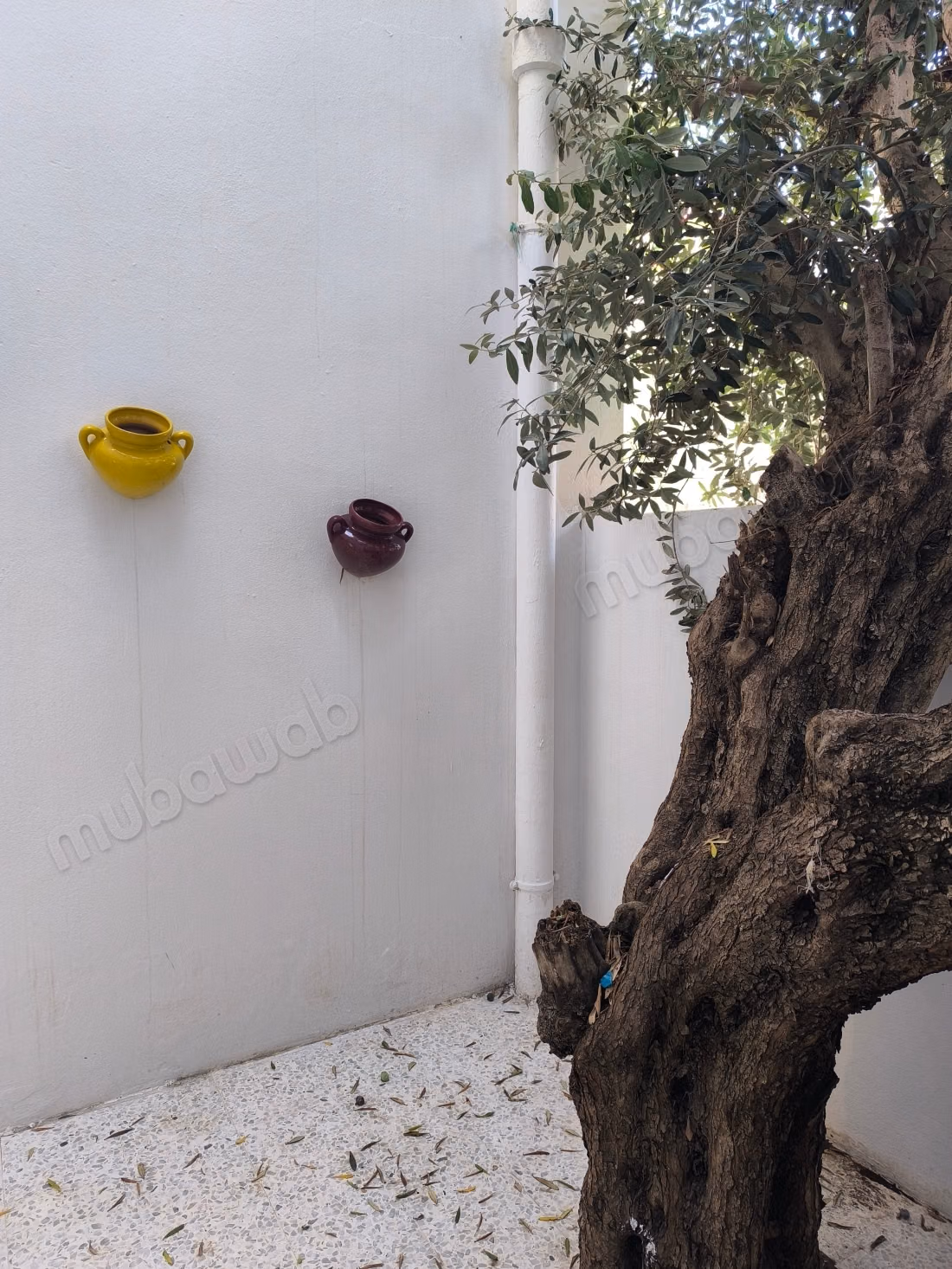 منزل جميل للإيجار في مدينة المرسى. المساحة الإجمالية 250 م². باب آمن وتدفئة مركزية