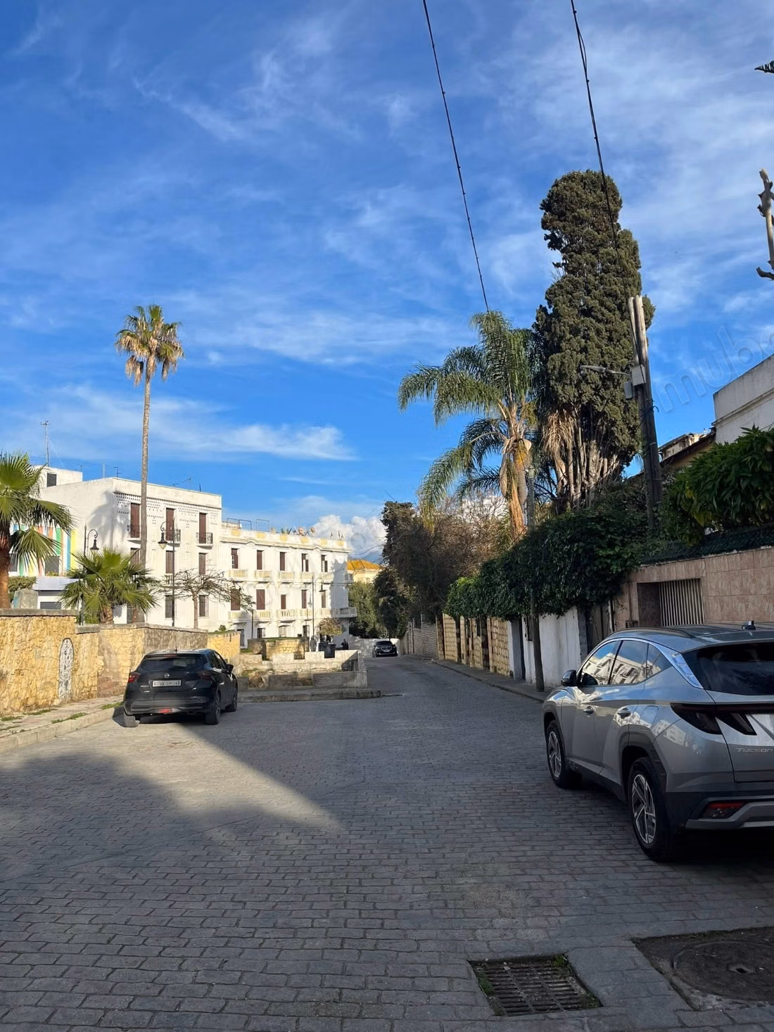 Villa avec grand jardin à Merchane 680m²