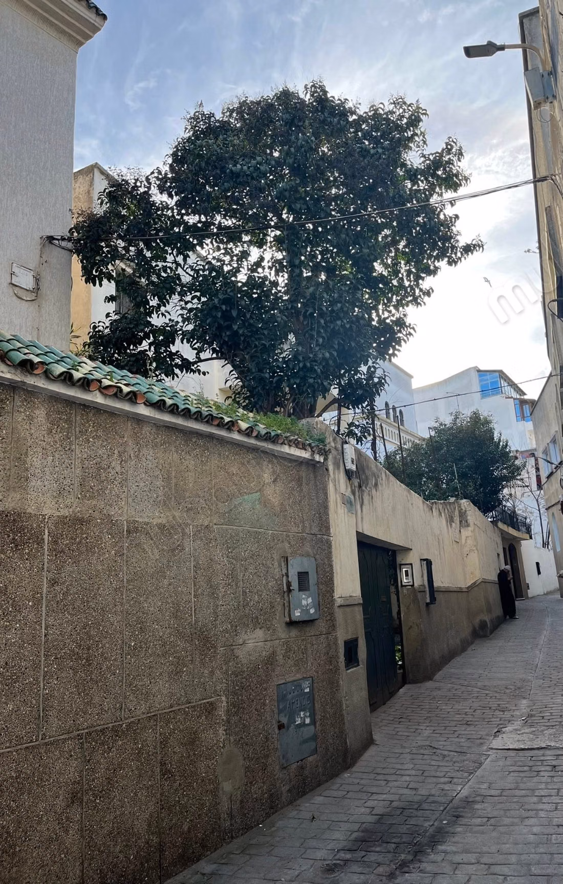 Villa avec grand jardin à Merchane 680m²
