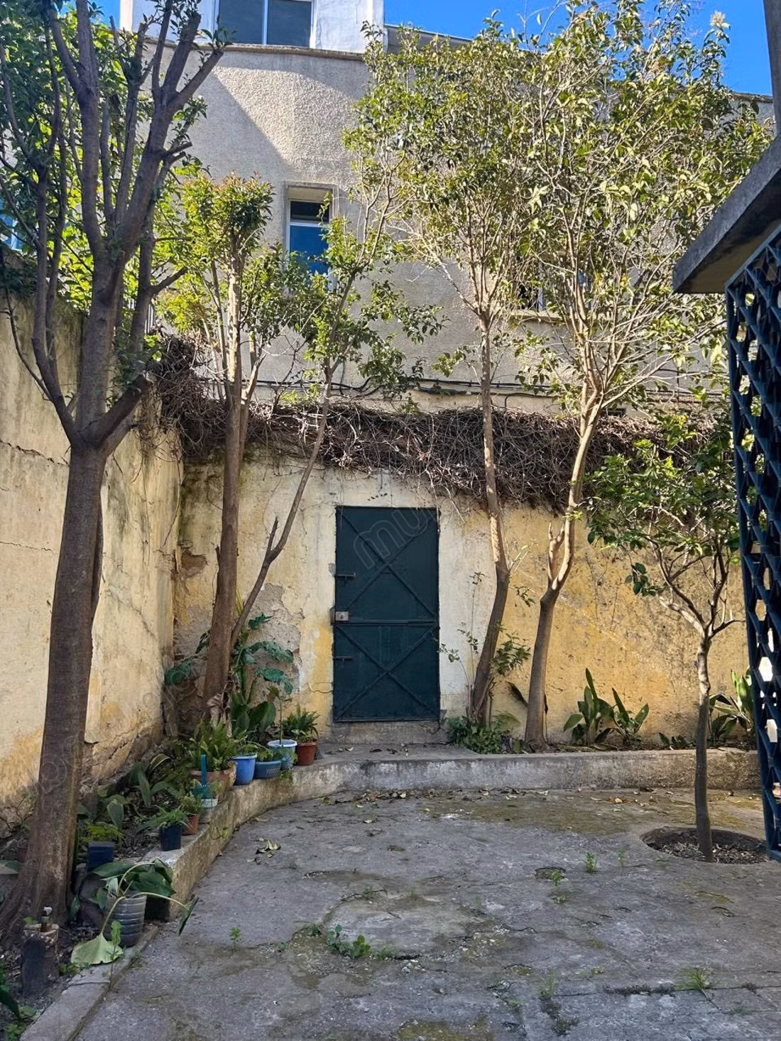 Villa avec grand jardin à Merchane 680m²