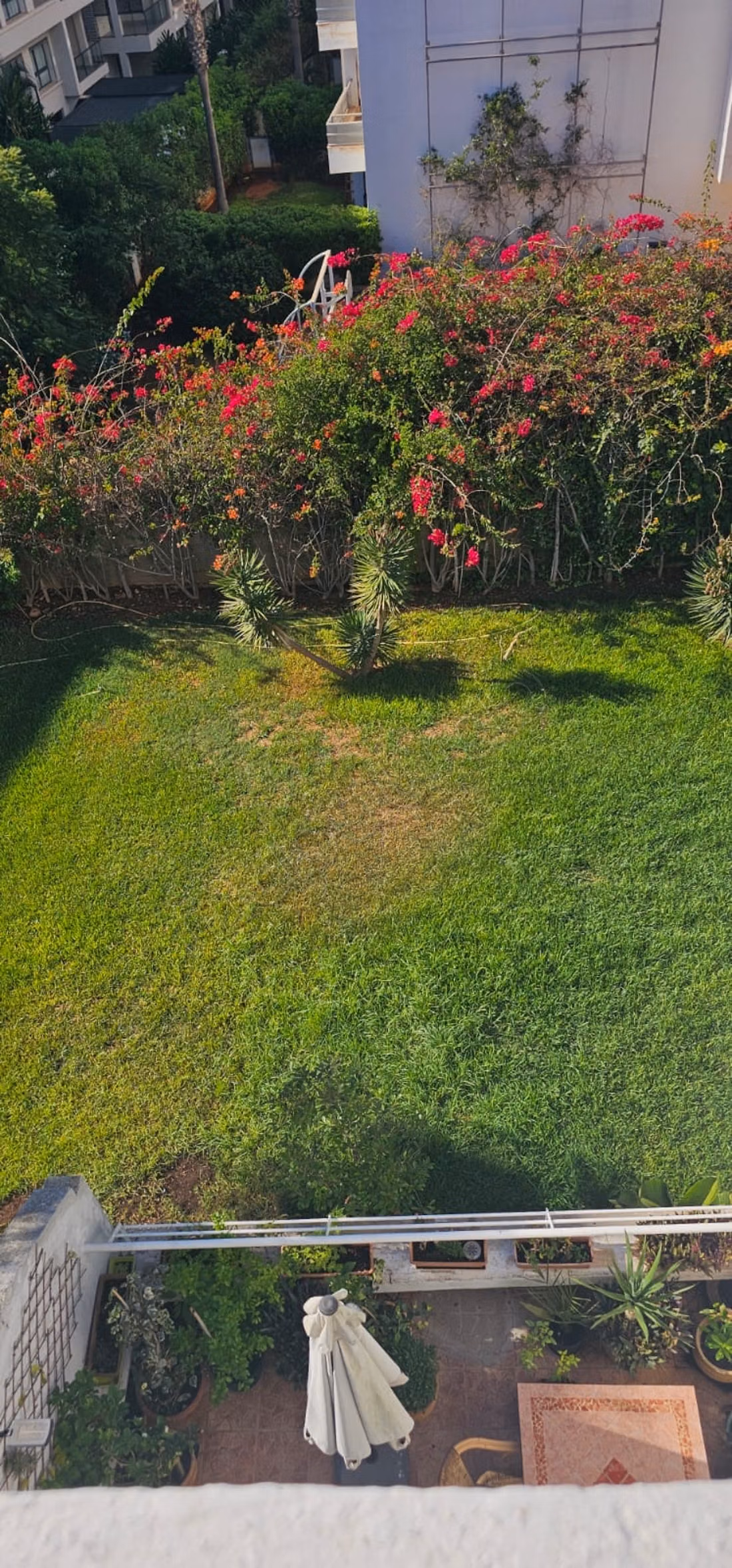 Duplex spacieux à louer sur ain diab