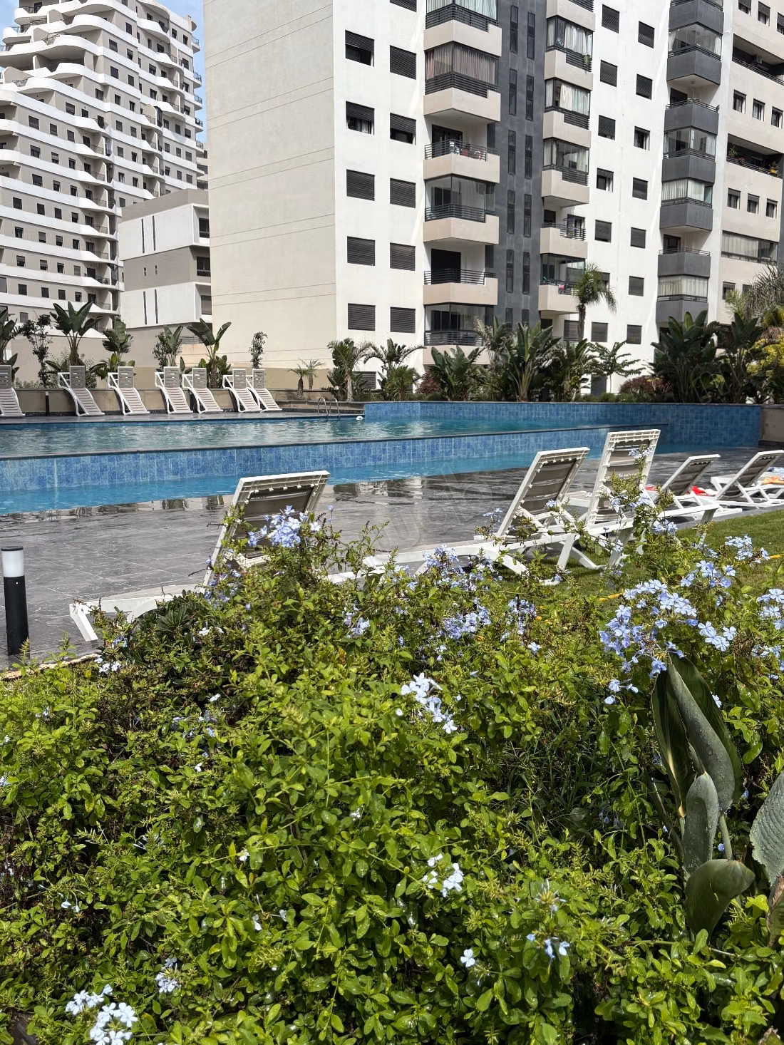 Louer un appartement. 1 chambre. Gardien et piscine