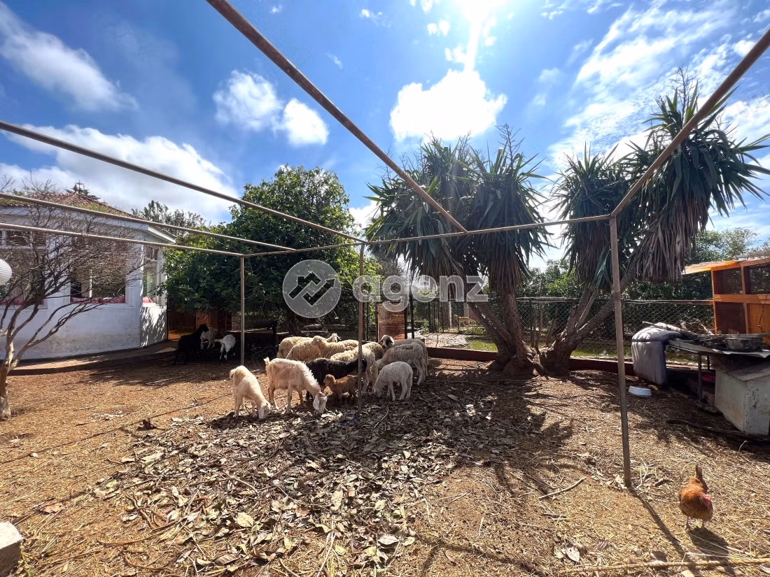 Villa en venta de 4,800 m², 5 habitaciones Mansouria Benslimane Benslimane